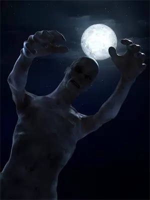重生之拯救毒舌师妹