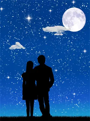 双星月光全集解说